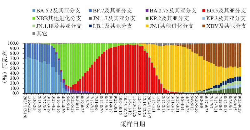 现在是否应该接种 SARS-CoV-2/COVID-19 疫苗？2024年7月 ~ 8月，中国疾病预防控制中心 发现，全国哨点医院发热门诊的新冠阳性率增高许多