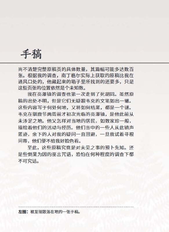 《The Alan Wake Files》是《心灵杀手限量典藏版》附带的一本书，由游戏中的一个经历这件事的人编写，就像是在 特别的故事叙述类型 中提过的《双峰：神秘史》一样，书中有收集了笔记、手稿、采访内容以及照片等零碎的内容，侧面对主角 Alan Wake 的行动进行了描写