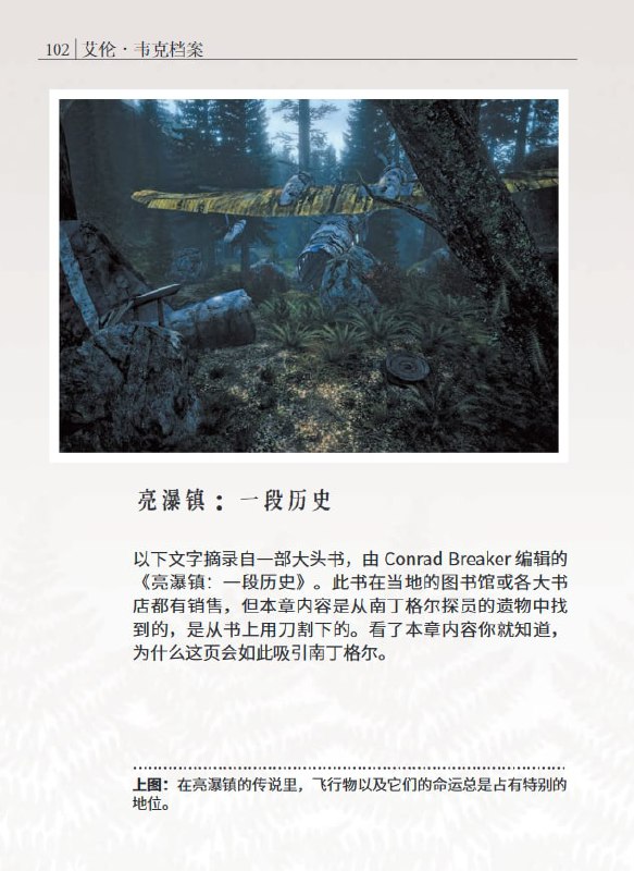 《The Alan Wake Files》是《心灵杀手限量典藏版》附带的一本书，由游戏中的一个经历这件事的人编写，就像是在 特别的故事叙述类型 中提过的《双峰：神秘史》一样，书中有收集了笔记、手稿、采访内容以及照片等零碎的内容，侧面对主角 Alan Wake 的行动进行了描写