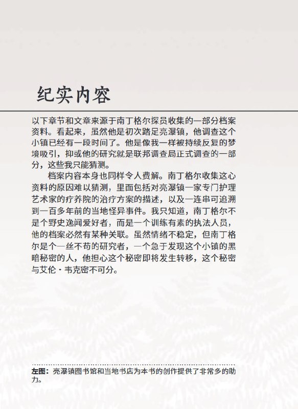 《The Alan Wake Files》是《心灵杀手限量典藏版》附带的一本书，由游戏中的一个经历这件事的人编写，就像是在 特别的故事叙述类型 中提过的《双峰：神秘史》一样，书中有收集了笔记、手稿、采访内容以及照片等零碎的内容，侧面对主角 Alan Wake 的行动进行了描写